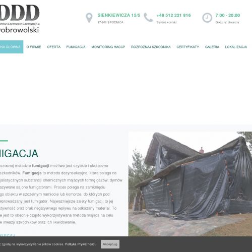 Likwidacja szkodników w Toruniu