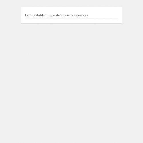 Warszawa - renowacja skór